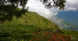 Himachal Special