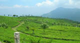 Kerala